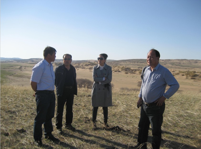 發(fā)揮資源優(yōu)勢，提高產(chǎn)業(yè)鏈競爭力——協(xié)會為企業(yè)間的合作搭建平臺